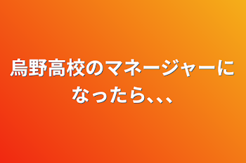 烏野高校のマネージャーになったら､､､