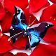 Download Crystal Butterfly HD Mobile Wallpaper For PC Windows and Mac 1.0