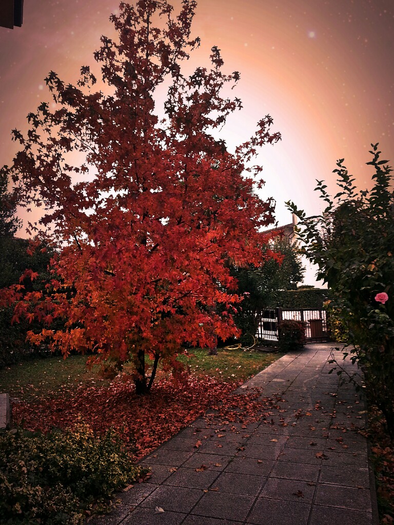 si sta come d'autunno.... di sandrina.oi