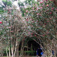 台北奧萬大樂活莊園