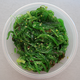 Seaweed Salad