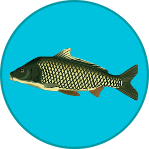 Download True Fishing Apk Download