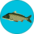 True Fishing1.9.8.417