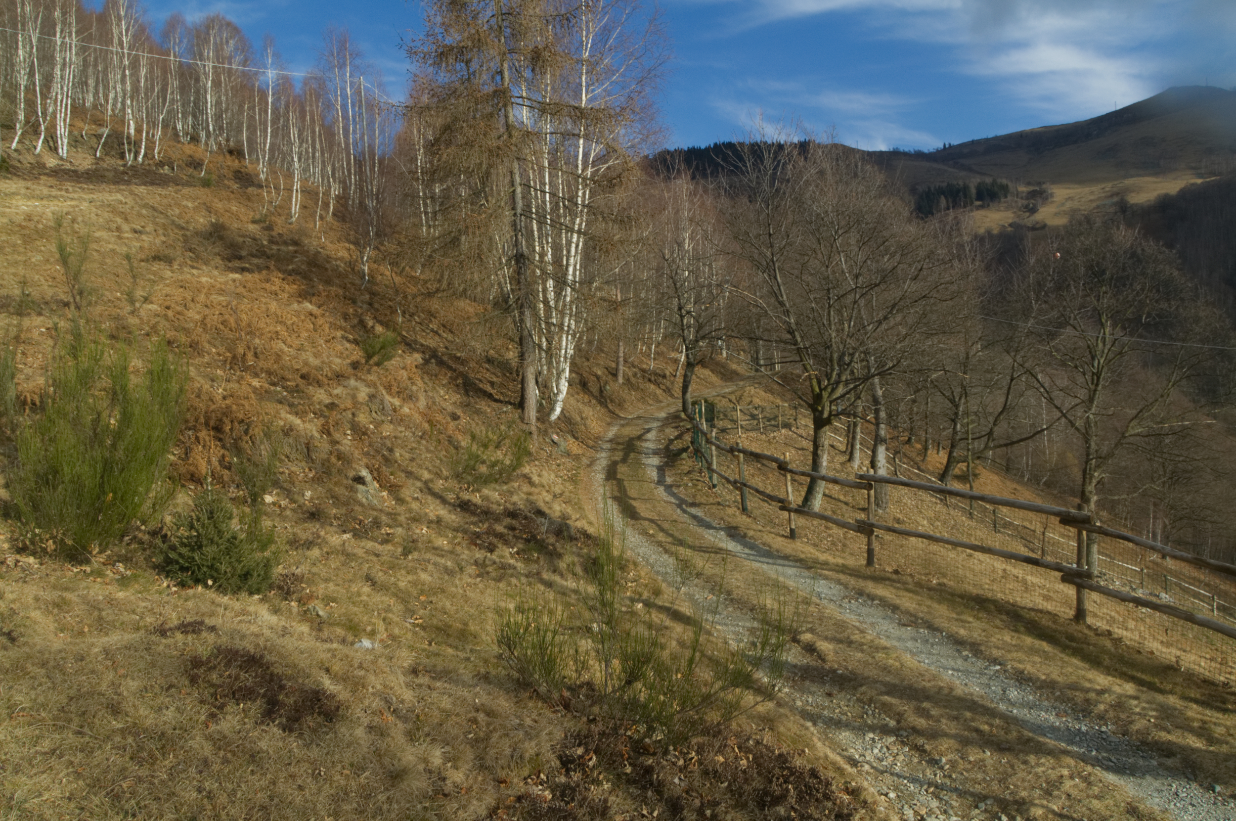 senttiero del cavagione di alpino