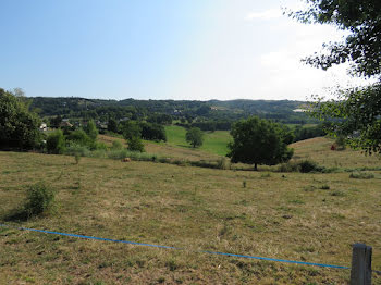 terrain à Voutezac (19)