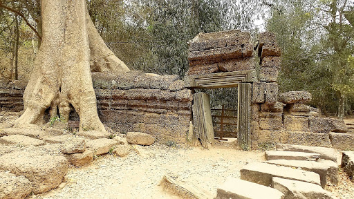 Tomb Raider Movie Temple (Ta Prohm) Cambodia 2016