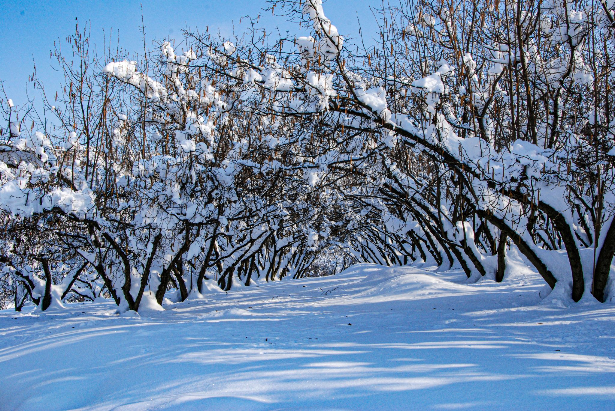 Bianco peso di Sergio Giunipero