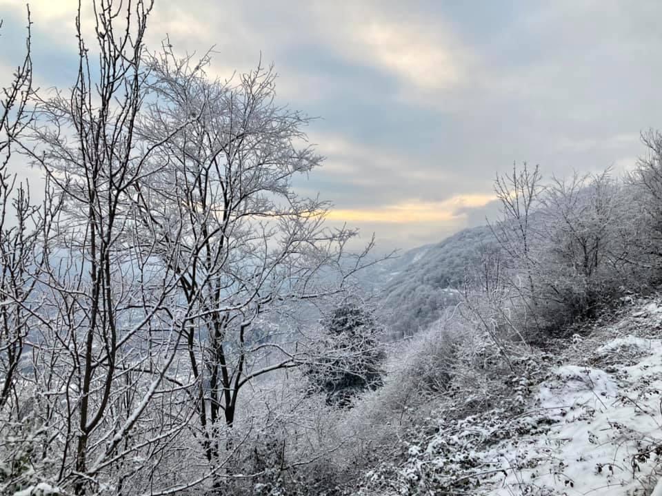 Il regno della regina della neve di  Antonella Giuliani 