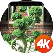 Bonsai wallpapers 4k 1.0.20 Icon