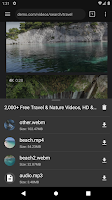 Video Downloader Screenshot
