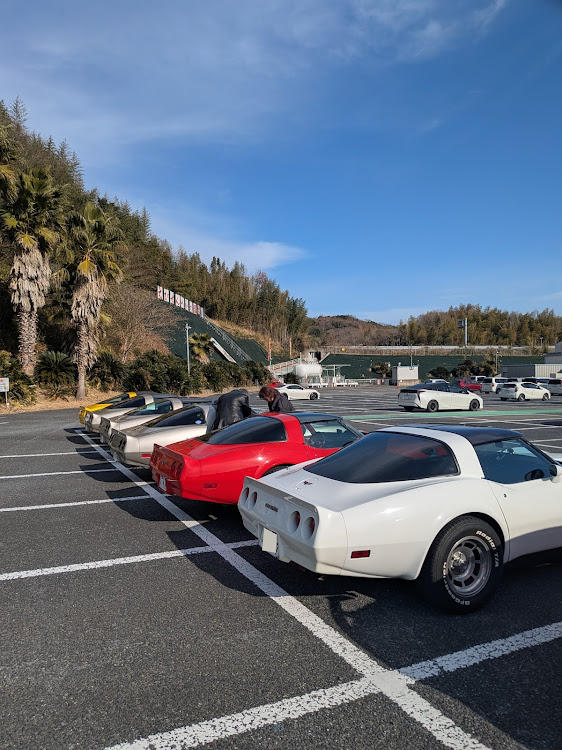 コルベット クーペのアメ車・マッスルカー・コルベット・コルベットc3に関するカスタム事例の投稿画像6枚目