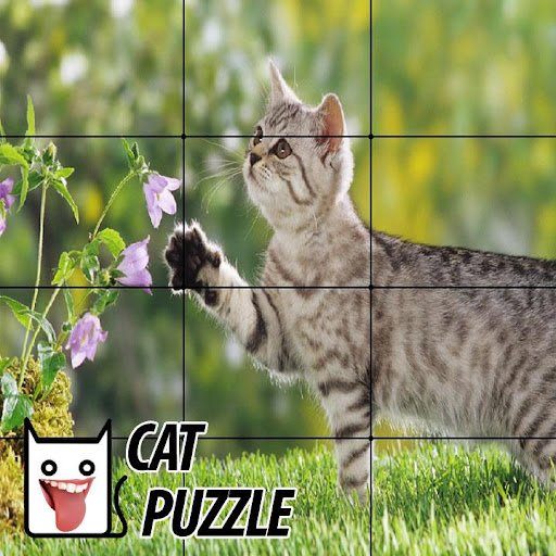 Funny Cat Puzzle