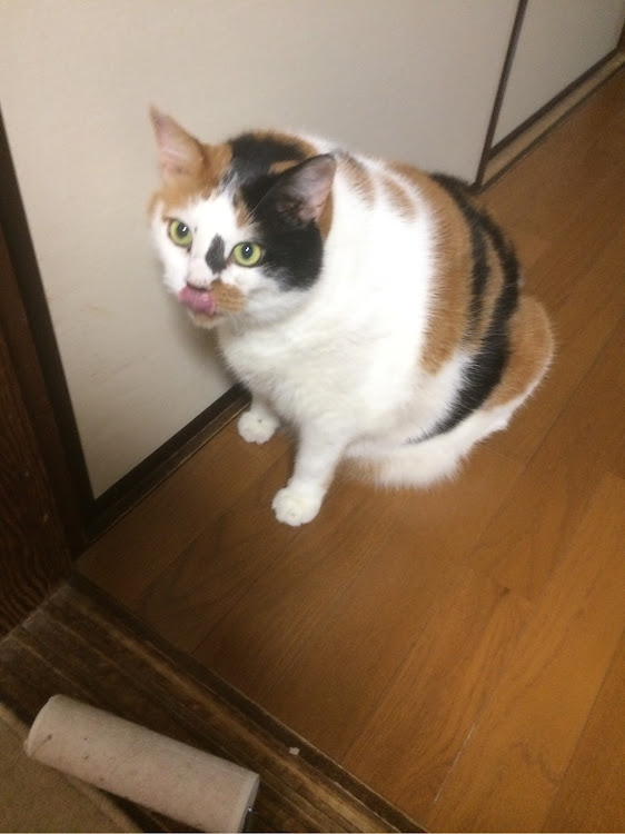 イワチャンさんが投稿したカスタム事例の投稿画像1枚目