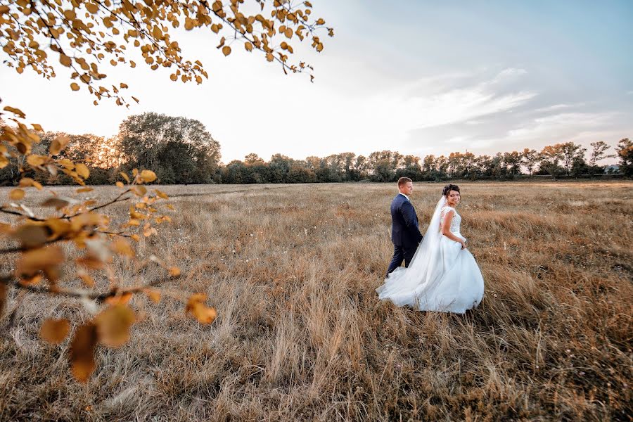 Wedding photographer Aleksandr Reznichenko (ralllex). Photo of 19 March 2020