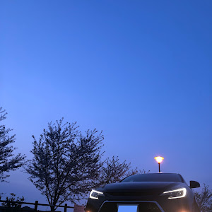 マークX G's