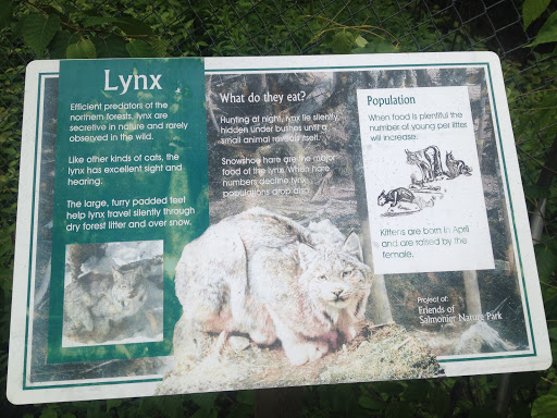Lynx Exhibit 