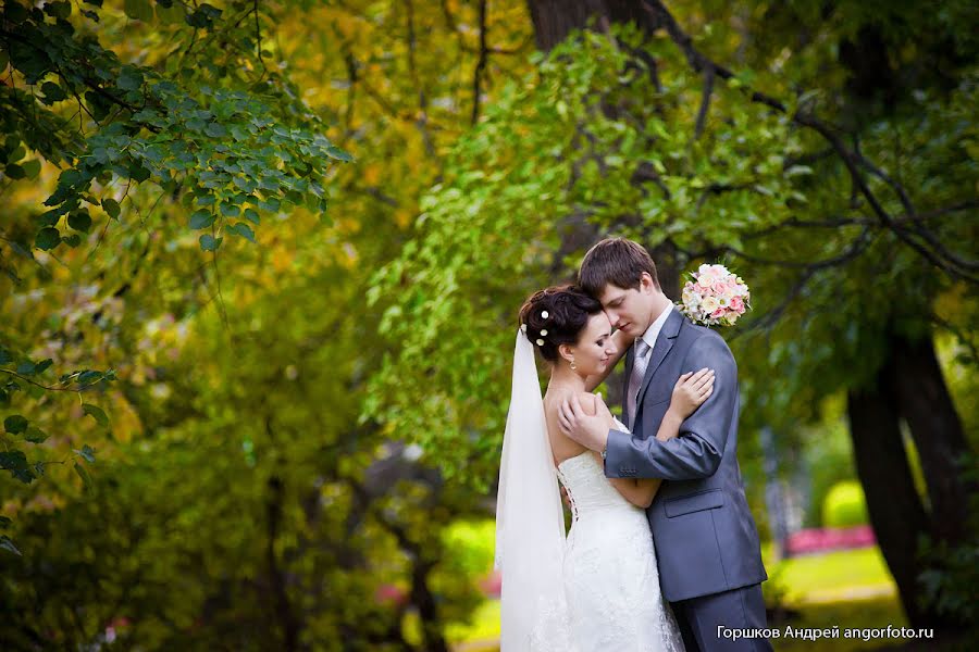 Wedding photographer Andrey Gorshkov (angor73). Photo of 17 January 2013