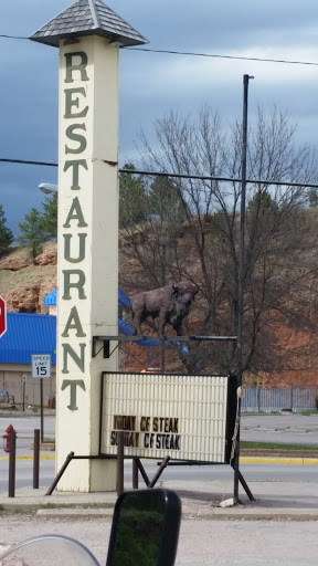 Hot Springs Buffalo