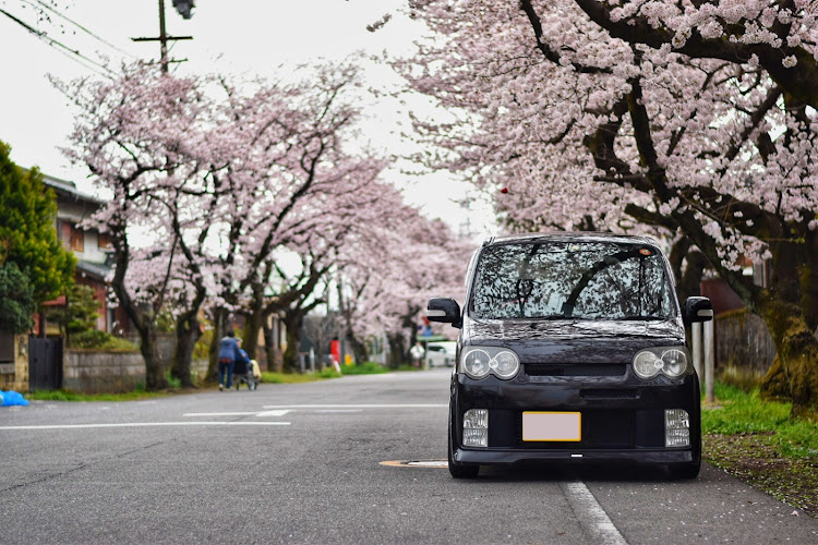 の投稿画像1枚目