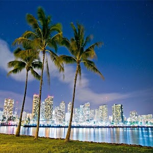 Honolulu City Live Wallpaper