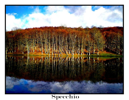 Specchio di colori di centaurux