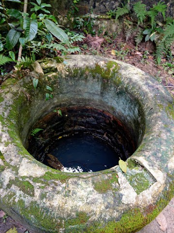 Tanjung Tuan Forest Reserve Hiking Trail Well