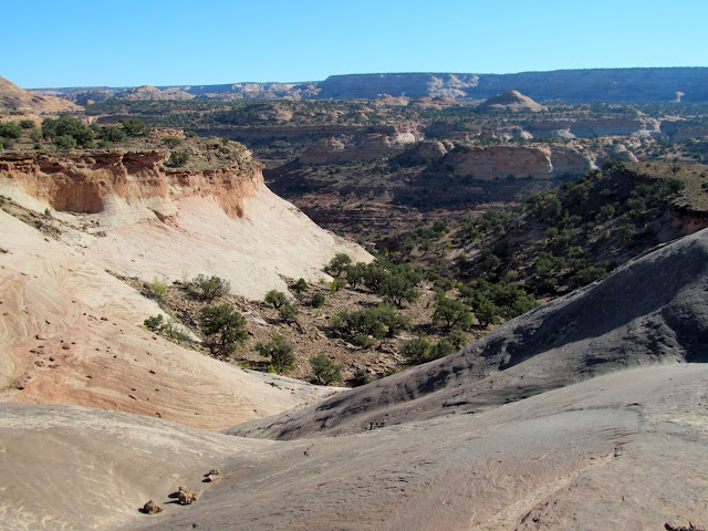 Above Horseshoe Canyon