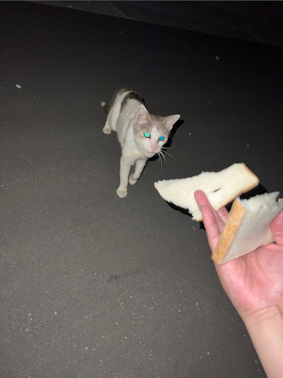 スカイラインの釣りドライブ・雨の後に関するカスタム事例の投稿画像3枚目