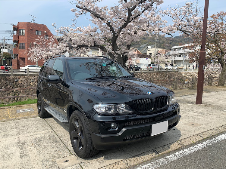 X5のコロナウイルスに負けるな・桜と愛車・E53・BMW X5に関するカスタム事例の投稿画像1枚目