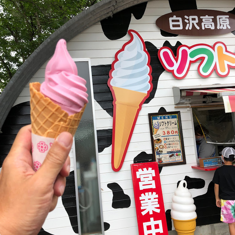ロードスターのソフ活・上州・うどん・メッチャわかる・習性シリーズに関するカスタム事例の投稿画像3枚目