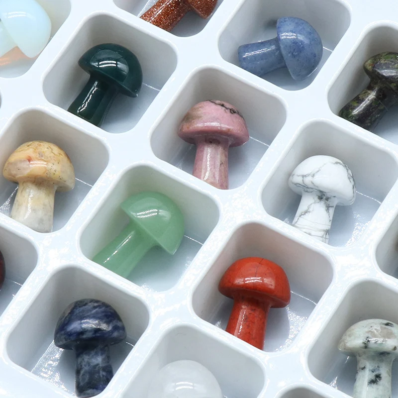 Kleine Paddenstoelbox DIY Micro Landschap Creëer je eigen miniatuurwereld. Eenvoudige kit voor decoratie en ontspanning. Leuk voor jong en oud.