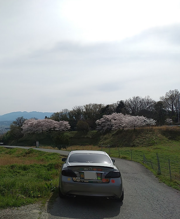 フーガの4月2日(土)・早朝から写活しましたpart10・奈良県御所(ごせ)市・葛城山山麓の景色を良く撮る所・桜🌸をバックにに関するカスタム事例の投稿画像8枚目