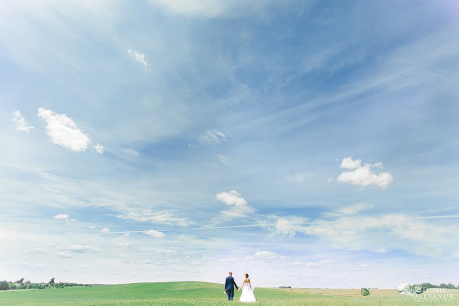 Photographe de mariage Aleksandr Dubik (dubik). Photo du 10 juin 2016