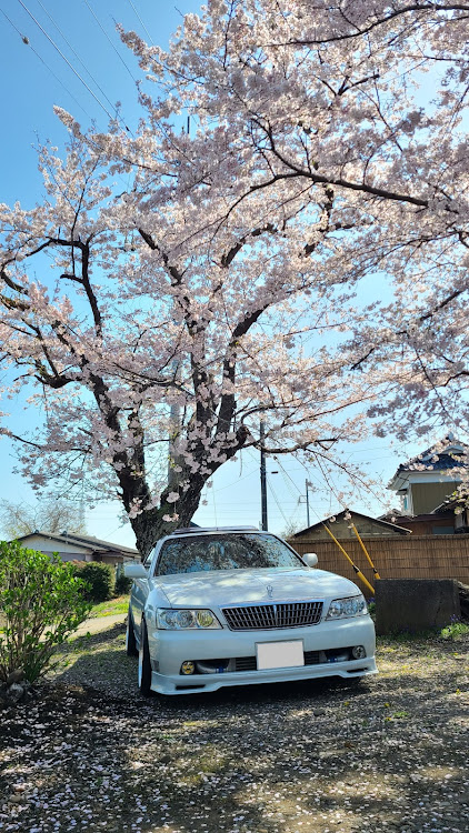 の投稿画像3枚目