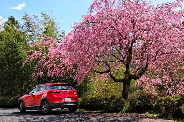 CX-3の2021ベストショット・4月にエントリーします・1年を振り返るに関するカスタム事例の投稿画像3枚目