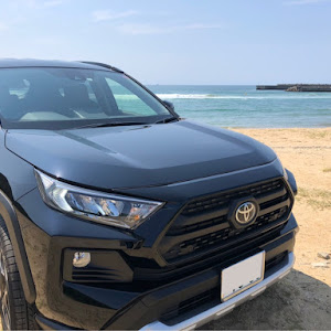 RAV4