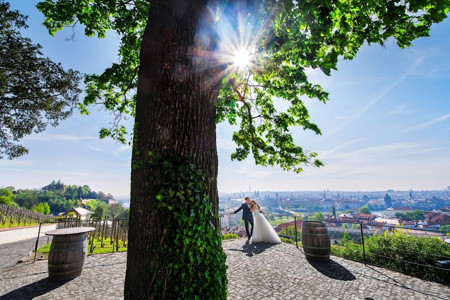 Fotografo di matrimoni Dmytro Sobokar (sobokar). Foto del 9 settembre 2018