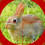 Cover Image of Download Sniper Rabbit Hunting 3D 1.3 APK