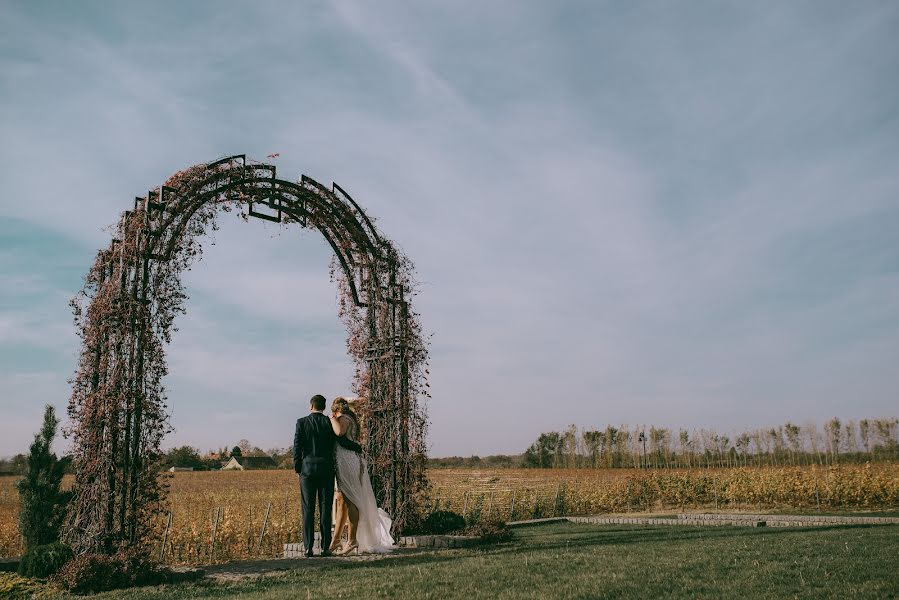 Fotografo di matrimoni Strahinja Babovic (babovic). Foto del 15 dicembre 2018