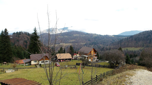 Peleș Castle România 2015