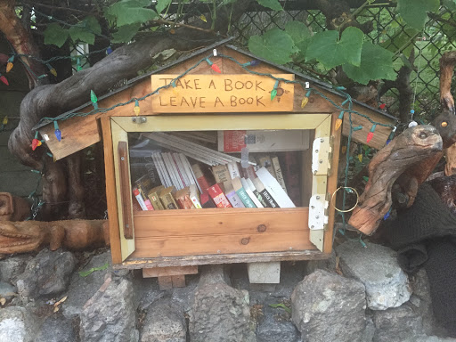 Neighborhood Nano Library