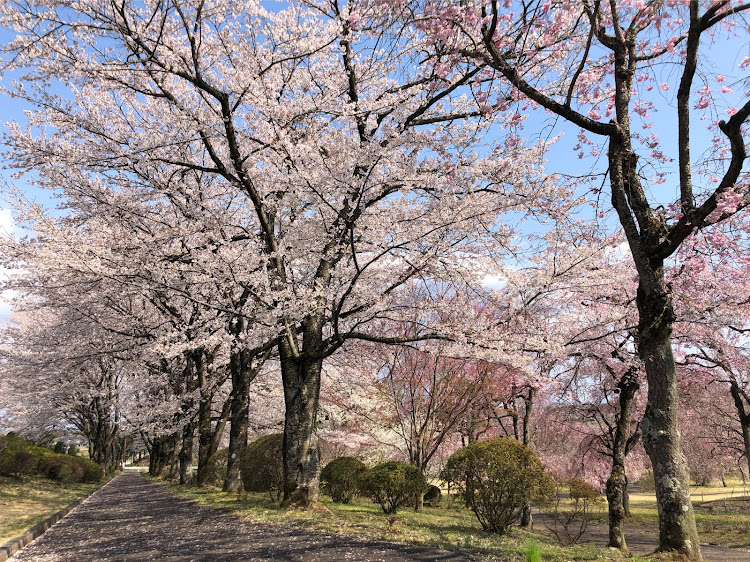 の投稿画像3枚目