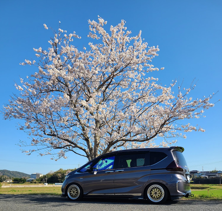 フリードの桜とコラボ🌸・戦争反対・いいね！をしてくれた人に感謝✨・一年経ちました☺️に関するカスタム事例の投稿画像1枚目