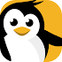 dataplicity - Terminal for Pi2.271