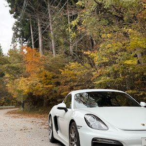 ケイマン 981MA122