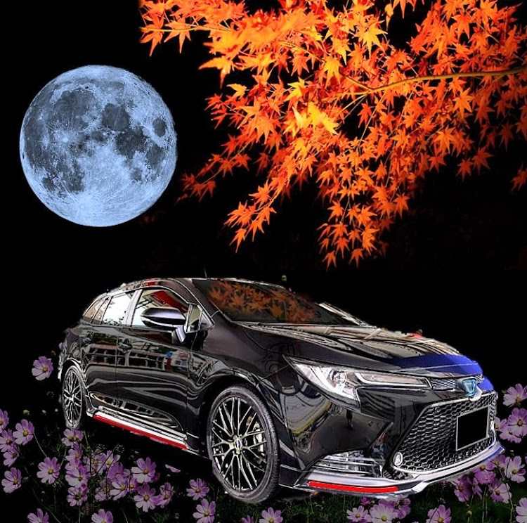 ノート オーラの秋の気配・紅葉と愛車・ワンチューン💕に関するカスタム事例の投稿画像4枚目