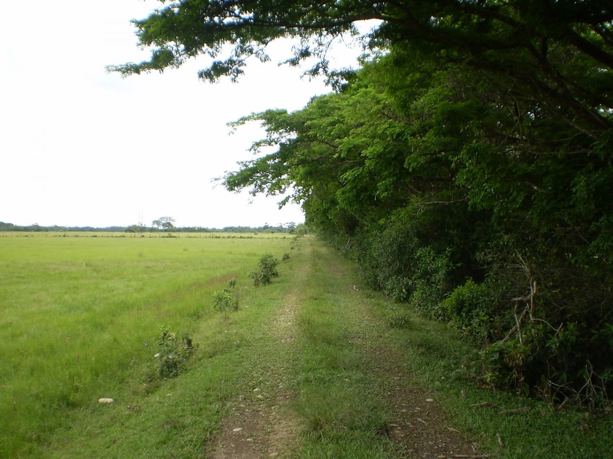 Finca En Venta - Villavicencio, Villavicencio