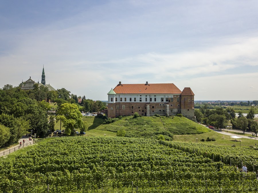 Zamek Królewski w Sandomierzu