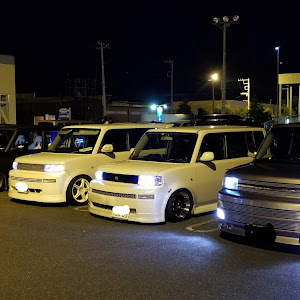 bB NCP30