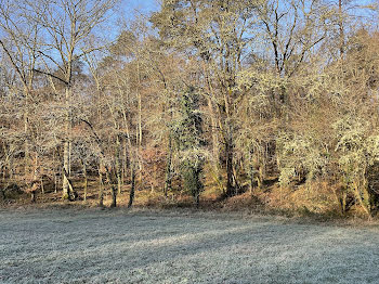 terrain à Condat-sur-Trincou (24)